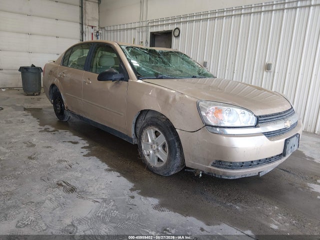 Продаж на аукціоні авто 2005 Chevrolet Malibu Ls, vin: 1G1ZT54885F241054, номер лоту: 45959402