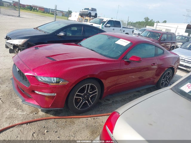2019 Ford Mustang Ecoboost Premium მანქანა იყიდება აუქციონზე, vin: 1FA6P8TH2K5116477, აუქციონის ნომერი: 45959600
