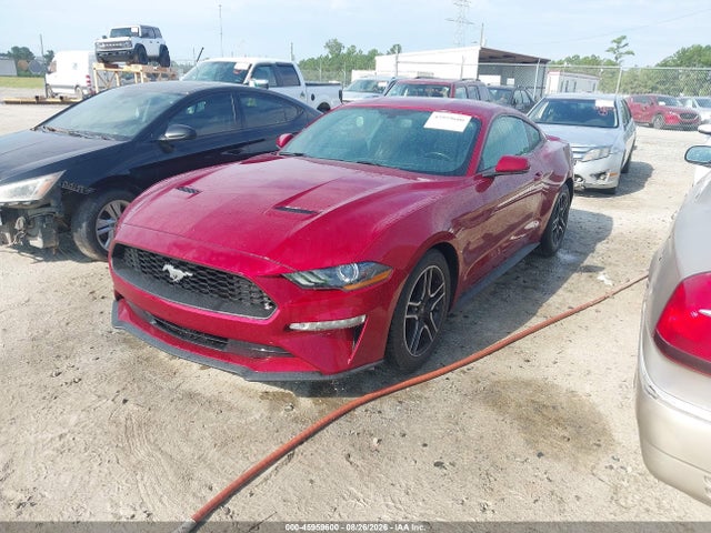 2019 Ford Mustang Ecoboost Premium მანქანა იყიდება აუქციონზე, vin: 1FA6P8TH2K5116477, აუქციონის ნომერი: 45959600