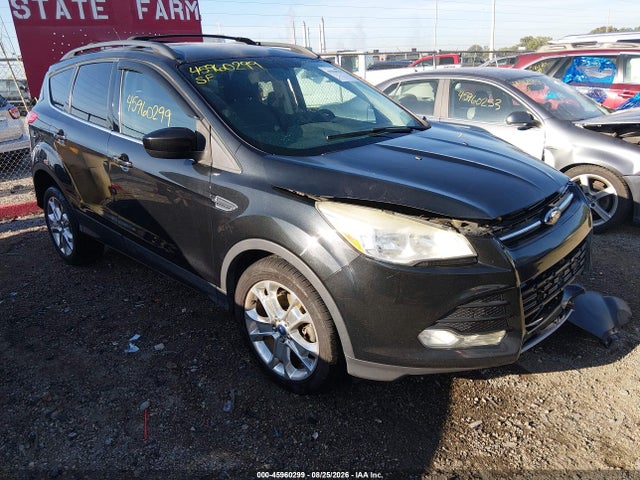 Продаж на аукціоні авто 2013 Ford Escape Se, vin: 1FMCU0G90DUC84861, номер лоту: 45960299