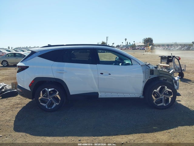 Hyundai Tucson Limited 2024 5NMJE3DE3RH347204 Image 14