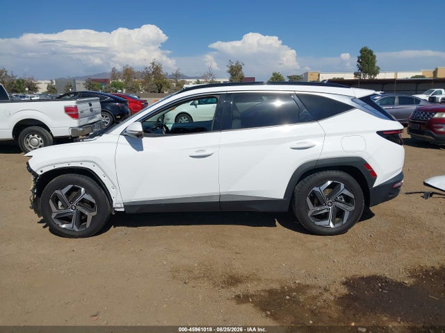 Hyundai Tucson Limited 2024 5NMJE3DE3RH347204 Image 15