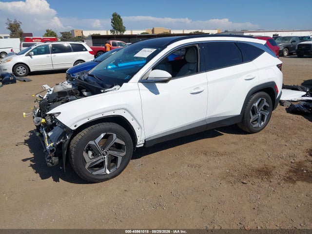 Hyundai Tucson Limited 2024 5NMJE3DE3RH347204 Image 2