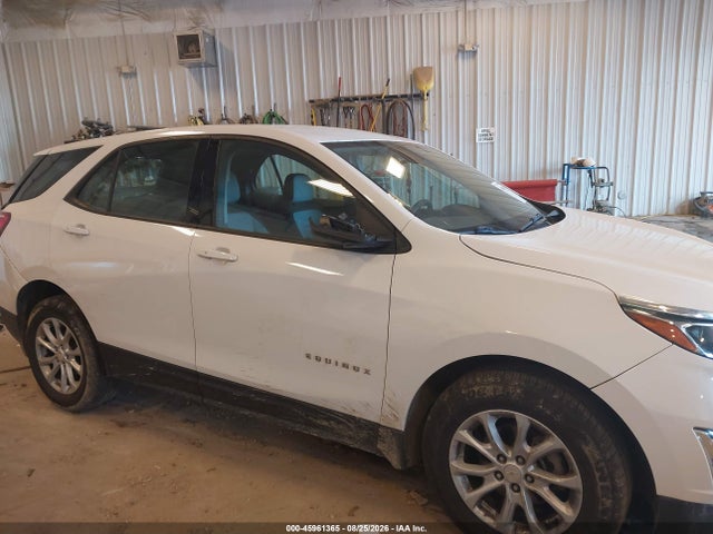 45961365 :رقم المزاد ، 3GNAXSEV9KS557668 vin ، 2019 Chevrolet Equinox Ls مزاد بيع