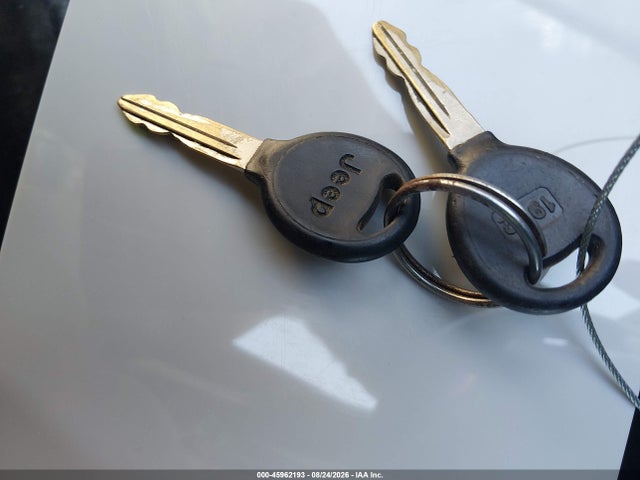 Продажа на аукционе авто 2004 Jeep Wrangler Rubicon, vin: 1J4FA69S14P761710, номер лота: 45962193