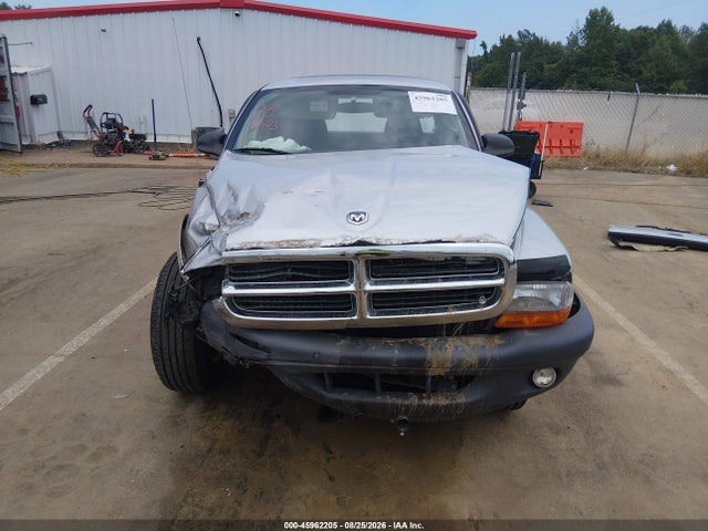 Продаж на аукціоні авто 2004 Dodge Dakota, vin: 1D7GL12K54S663316, номер лоту: 45962205