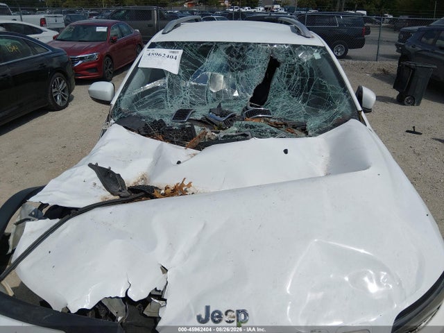 Aukcja sprzedaży 2020 Jeep Cherokee Latitude Plus 4x4, vin: 1C4PJMLB3LD569518, numer aukcji: 45962404