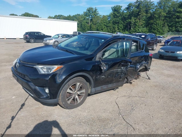 Продаж на аукціоні авто 2016 Toyota Rav4 Xle, vin: 2T3RFREVXGW459282, номер лоту: 45963976