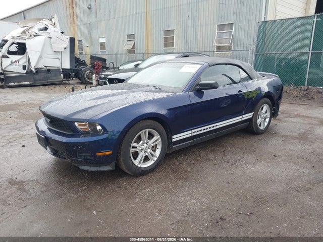 45965011 :رقم المزاد ، 1ZVBP8EM6B5137770 vin ، 2011 Ford Mustang V6 مزاد بيع