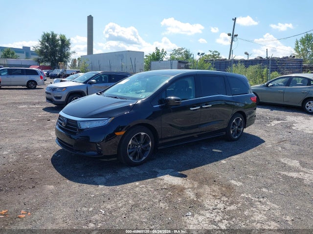 Продаж на аукціоні авто 2024 Honda Odyssey Elite, vin: 5FNRL6H99RB019214, номер лоту: 45965120