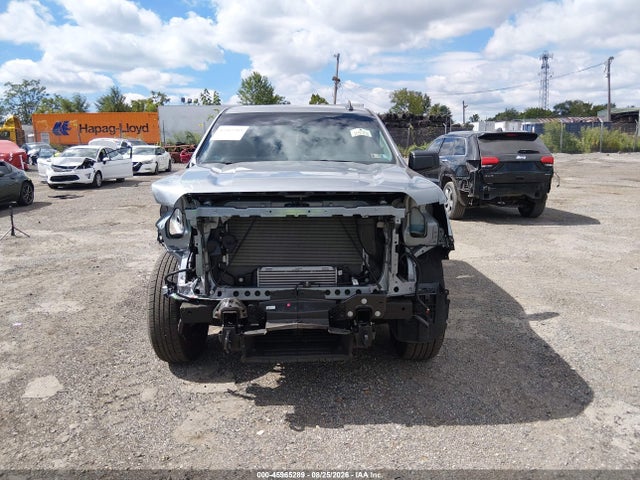 Продаж на аукціоні авто 2025 Gmc Sierra 1500 4wd  Standard Box Pro, vin: 1GTPUAEK6SZ134965, номер лоту: 45965289