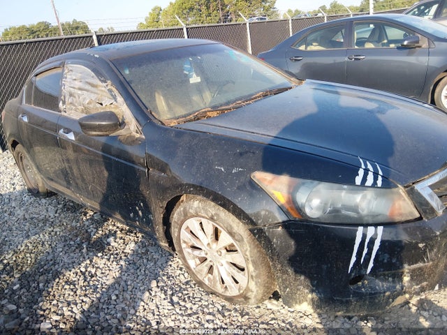 Aukcja sprzedaży 2010 Honda Accord 3.5 Ex-l, vin: 1HGCP3F87AA008097, numer aukcji: 45969029