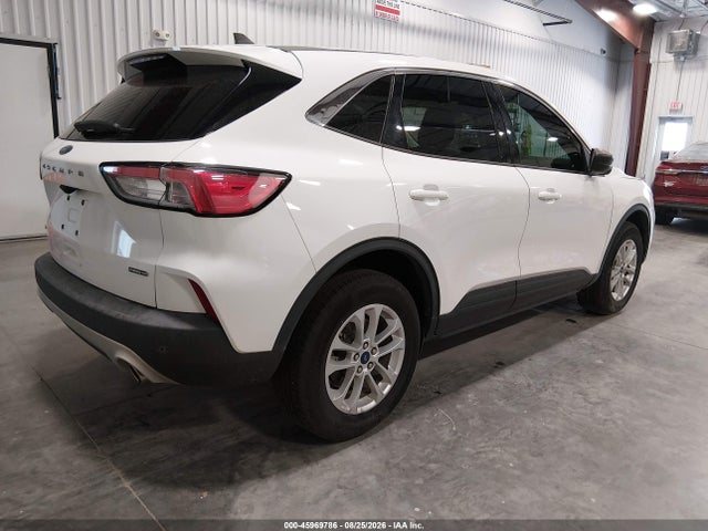 Ford Escape Se Hybrid 2022 1FMCU9BZ9NUA65006 Image 4