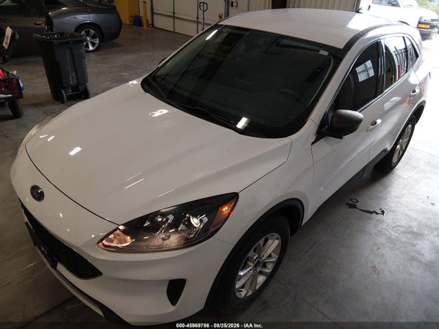 Ford Escape Se Hybrid 2022 1FMCU9BZ9NUA65006 Image 6