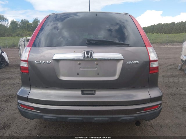 Продажа на аукционе авто 2010 Honda Cr-v Ex-l, vin: 5J6RE4H79AL082371, номер лота: 45970097