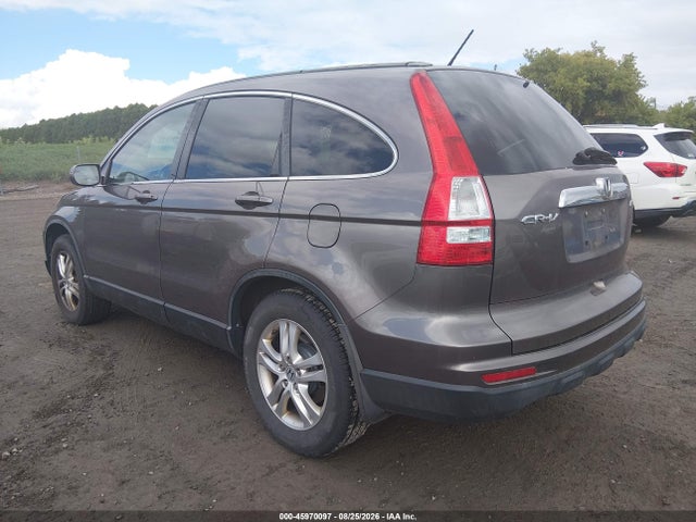 Продажа на аукционе авто 2010 Honda Cr-v Ex-l, vin: 5J6RE4H79AL082371, номер лота: 45970097