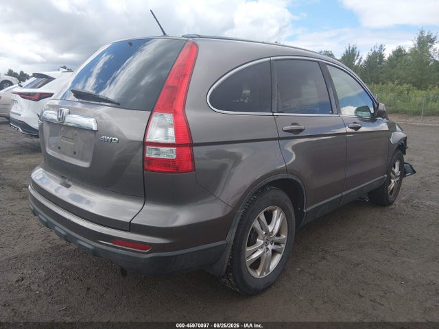 Продажа на аукционе авто 2010 Honda Cr-v Ex-l, vin: 5J6RE4H79AL082371, номер лота: 45970097