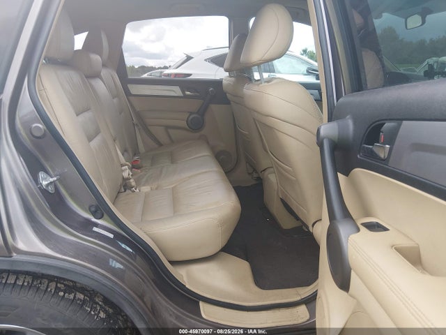 Продажа на аукционе авто 2010 Honda Cr-v Ex-l, vin: 5J6RE4H79AL082371, номер лота: 45970097