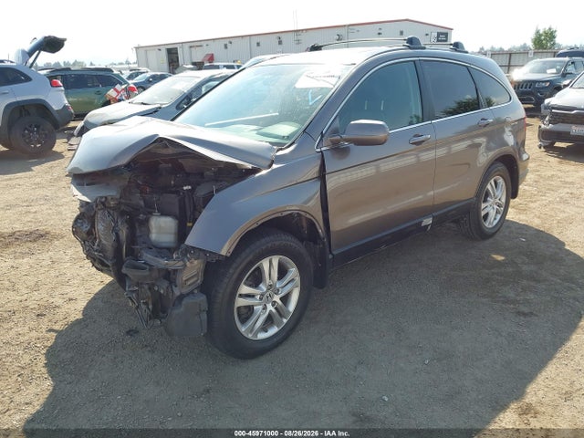 Aukcja sprzedaży 2010 Honda Cr-v Ex-l, vin: 5J6RE4H79AL052786, numer aukcji: 45971000