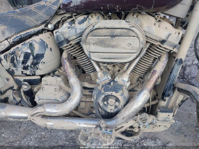 Harley-Davidson FXLRS 2021 1HD1YWK13MB013761 Image 8