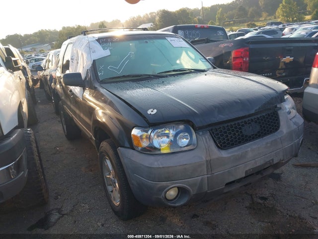 Aukcja sprzedaży 2007 Ford Escape Xlt, vin: 1FMYU03Z27KA03784, numer aukcji: 45971204