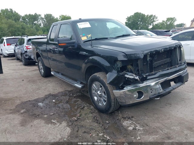2010 Ford F-150 Xlt მანქანა იყიდება აუქციონზე, vin: 1FTEX1E81AFA94667, აუქციონის ნომერი: 45971831