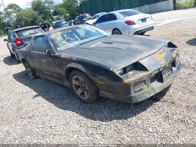 Продаж на аукціоні авто 1985 Chevrolet Camaro, vin: 1G1FP87F6FN175629, номер лоту: 45972431