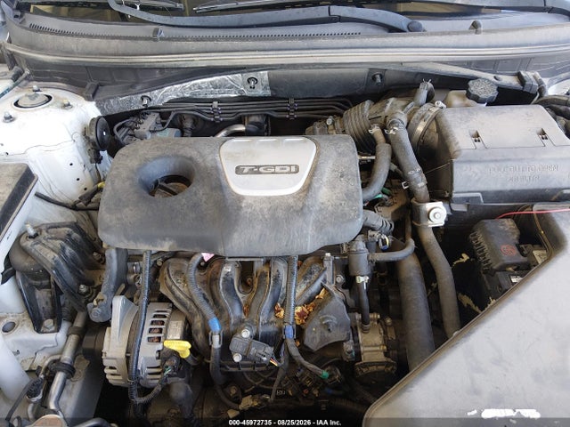 Продаж на аукціоні авто 2019 Hyundai Sonata Eco, vin: 5NPE24AA9KH801708, номер лоту: 45972735