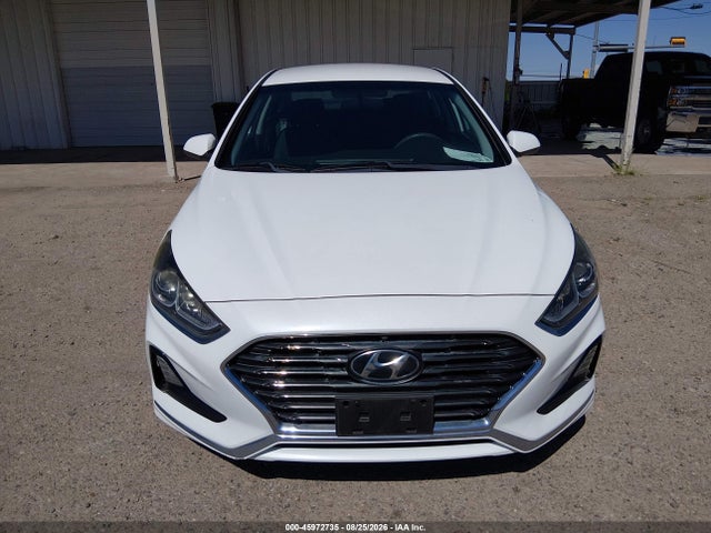 Продаж на аукціоні авто 2019 Hyundai Sonata Eco, vin: 5NPE24AA9KH801708, номер лоту: 45972735
