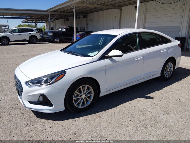 Продаж на аукціоні авто 2019 Hyundai Sonata Eco, vin: 5NPE24AA9KH801708, номер лоту: 45972735