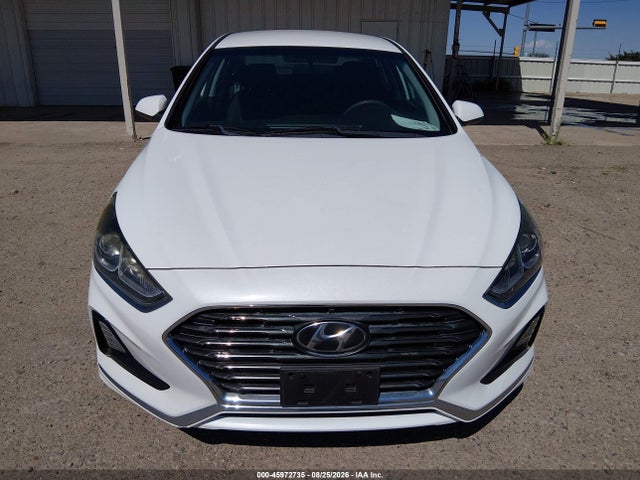 Продаж на аукціоні авто 2019 Hyundai Sonata Eco, vin: 5NPE24AA9KH801708, номер лоту: 45972735