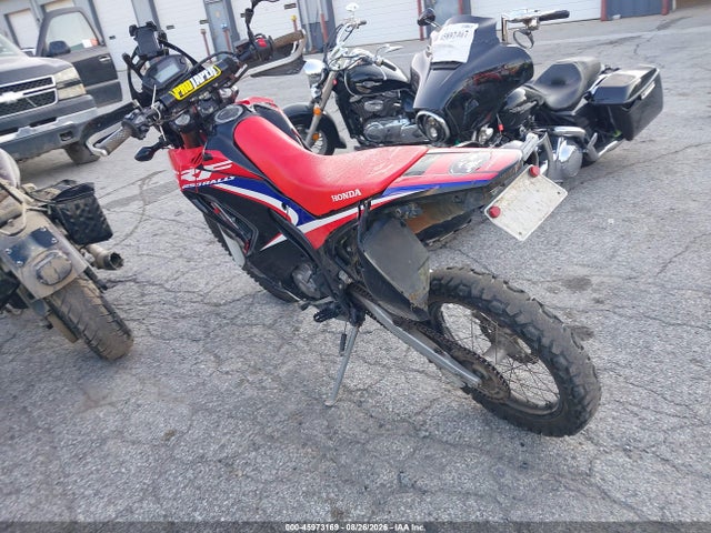 2019 Honda Crf250 Rl მანქანა იყიდება აუქციონზე, vin: MLHMD4409K5200403, აუქციონის ნომერი: 45973169