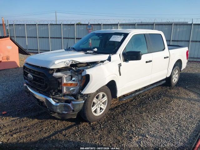 45973572 :رقم المزاد ، 1FTEW1C53PFB08315 vin ، 2023 Ford F-150 Xl مزاد بيع