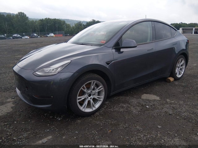 45974136 :رقم المزاد ، 7SAYGAEE3PF599029 vin ، 2023 Tesla Model Y مزاد بيع