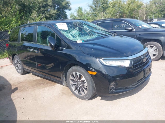 Auction sale of the 2024 Honda Odyssey Ex-l, vin: 5FNRL6H69RB042479, lot number: 45974172