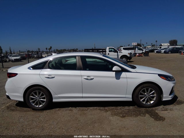 Hyundai SONATA ECO 2019 5NPE24AA4KH774563 Image 13