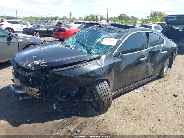 2010 Nissan Maxima 3.5 Sv მანქანა იყიდება აუქციონზე, vin: 1N4AA5AP5AC809980, აუქციონის ნომერი: 45977011