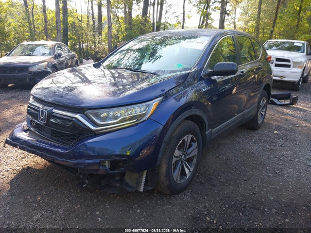 Auction sale of the 2020 Honda Cr-v Hybrid Lx, vin: 7FART6H22LE004035, lot number: 45977024