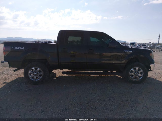 45977582 :رقم المزاد ، 1FTEW1E89AFC05159 vin ، 2010 Ford F-150 Xlt مزاد بيع
