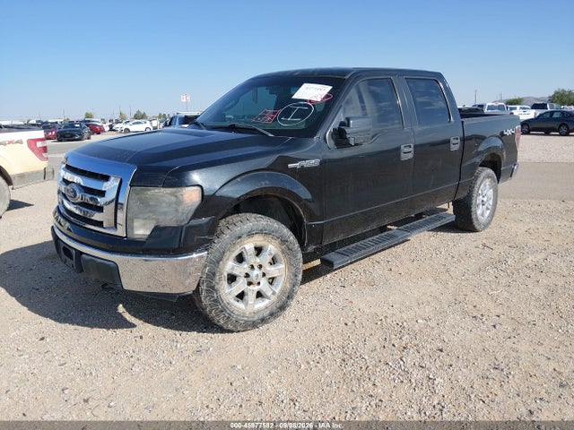 45977582 :رقم المزاد ، 1FTEW1E89AFC05159 vin ، 2010 Ford F-150 Xlt مزاد بيع