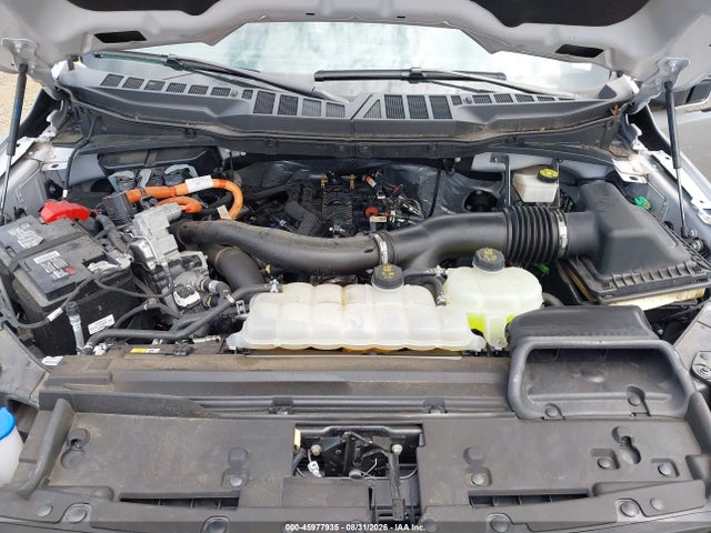 Aukcja sprzedaży 2024 Ford F-150 Xlt, vin: 1FTFW3LD2RFA08491, numer aukcji: 45977935