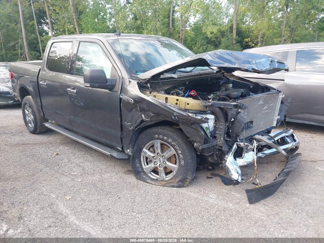 45979469 :رقم المزاد ، 1FTEW1EBXLKF25659 vin ، 2020 Ford F-150 Xlt مزاد بيع