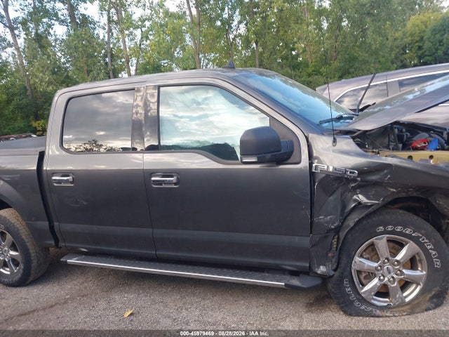 45979469 :رقم المزاد ، 1FTEW1EBXLKF25659 vin ، 2020 Ford F-150 Xlt مزاد بيع