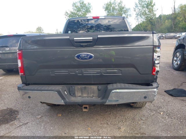 45979469 :رقم المزاد ، 1FTEW1EBXLKF25659 vin ، 2020 Ford F-150 Xlt مزاد بيع
