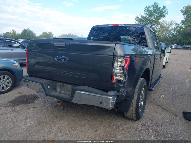 45979469 :رقم المزاد ، 1FTEW1EBXLKF25659 vin ، 2020 Ford F-150 Xlt مزاد بيع