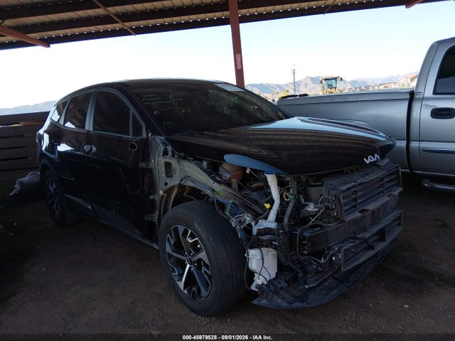 KIA Sportage Ex 2024 5XYK33DF6RG183668 Image 6