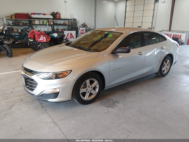 Продажа на аукционе авто 2019 Chevrolet Malibu 1fl, vin: 1G1ZC5ST2KF197927, номер лота: 45979620