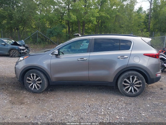 Продажа на аукционе авто 2019 Kia Sportage Ex, vin: KNDPNCAC9K7513641, номер лота: 45979782