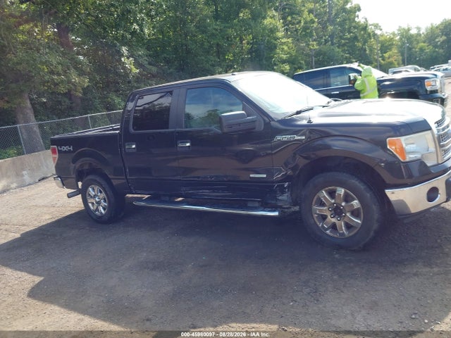 Продажа на аукционе авто 2014 Ford F-150 Xlt, vin: 1FTFW1ET9EFB67625, номер лота: 45980097