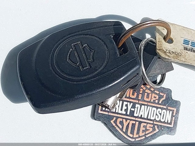 Продажа на аукционе авто 2024 Harley-davidson Fltrx, vin: 1HD1KH718RB647838, номер лота: 45980125